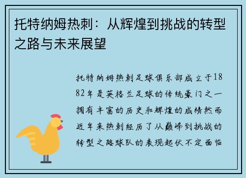 托特纳姆热刺：从辉煌到挑战的转型之路与未来展望