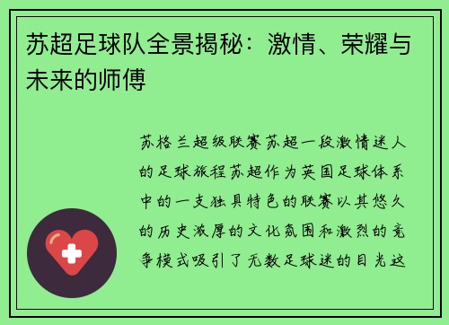 苏超足球队全景揭秘：激情、荣耀与未来的师傅